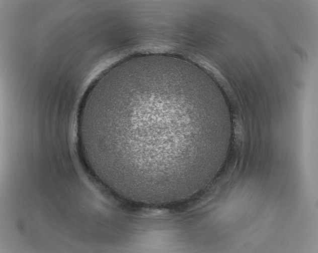 X0000113960582200910091631