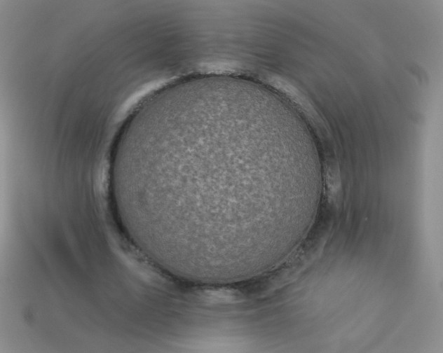 X0000113960583200910091631