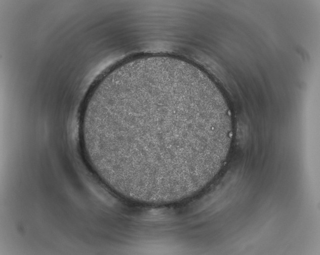 X0000113960584200910091631