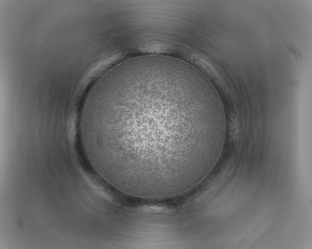 X0000113960586200910091631