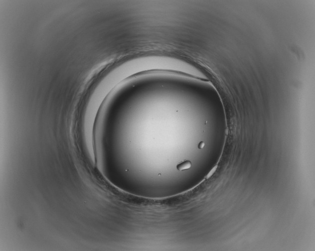 X0000113960587200910091631