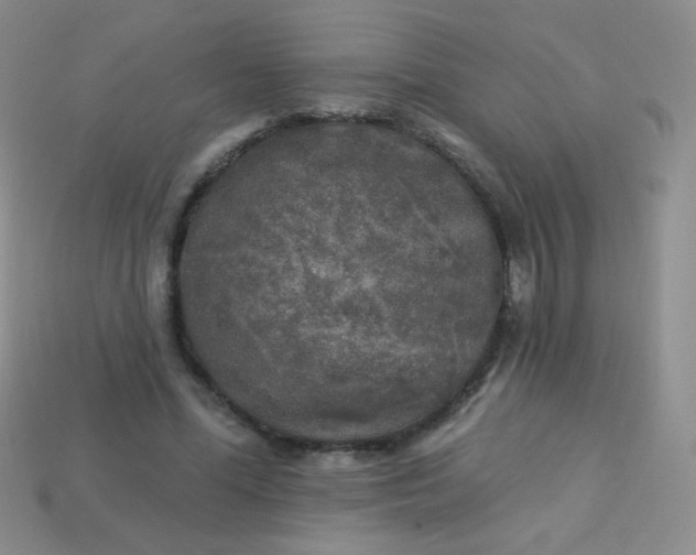 X0000113960588200910091631