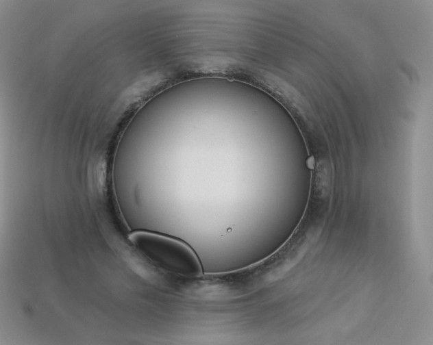 X0000113960589200910091631