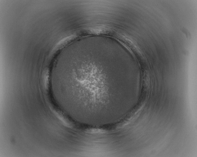 X0000113960590200910091631