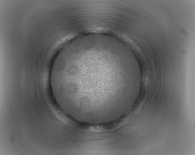 X0000113960591200910091631