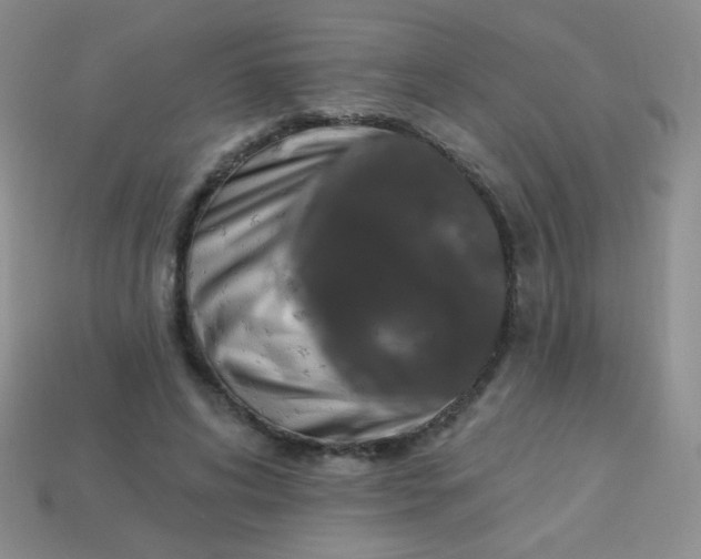 X0000113960592200910091631