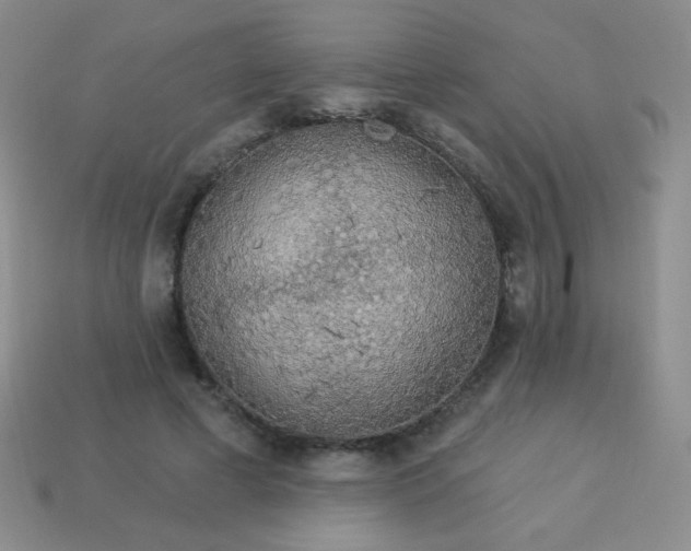 X0000113960593200910091631