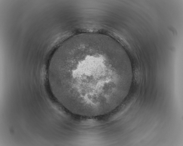 X0000113960594200910091631