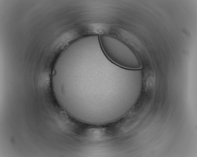 X0000113960595200910091631