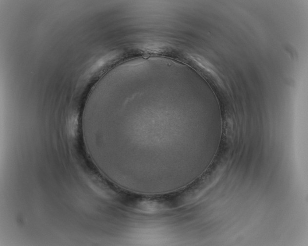 X0000113960596200910091631