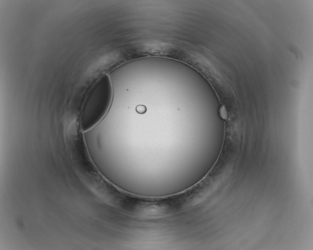 X0000113960597200910091631