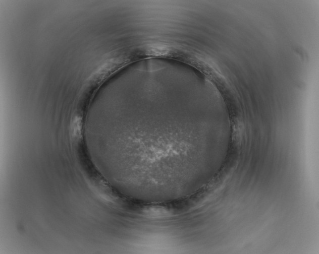 X0000113960598200910091631