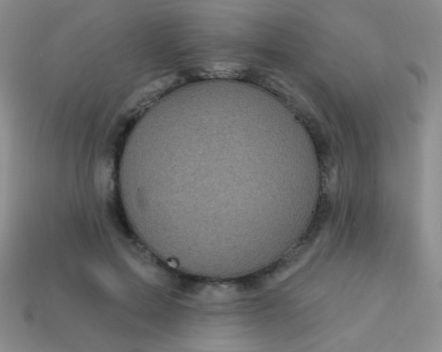 X0000113960599200910091631