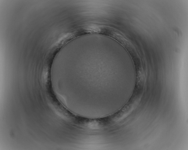 X0000113960600200910091631