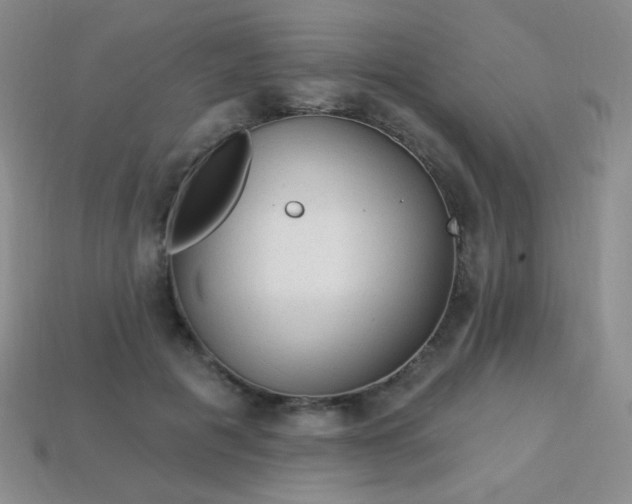 X0000113960601200910091631