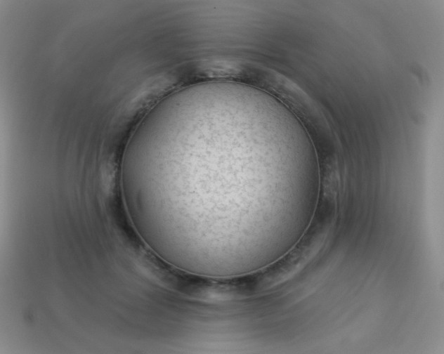 X0000113960604200910091631