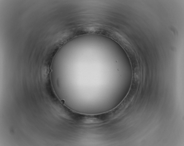 X0000113960605200910091631