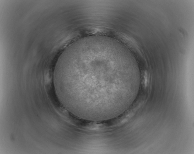 X0000113960607200910091630