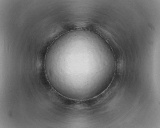 X0000113960608200910091630