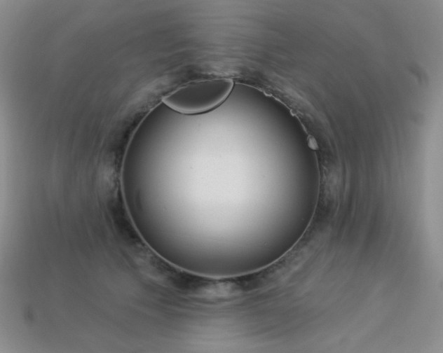 X0000113960609200910091630