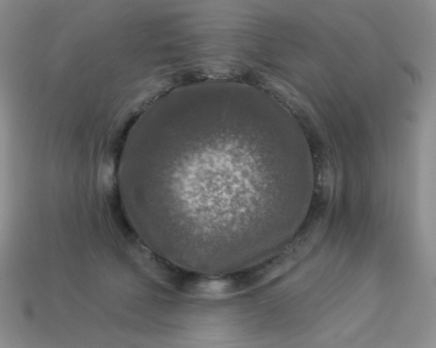 X0000113960610200910091630