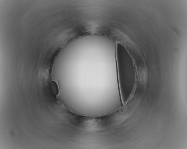 X0000113960611200910091630