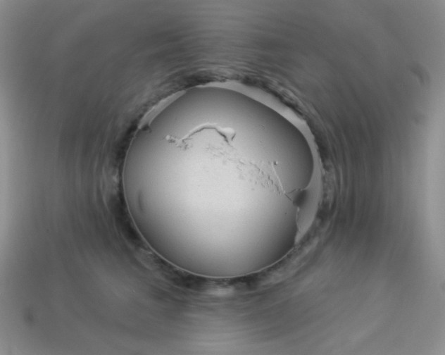 X0000113960613200910091630