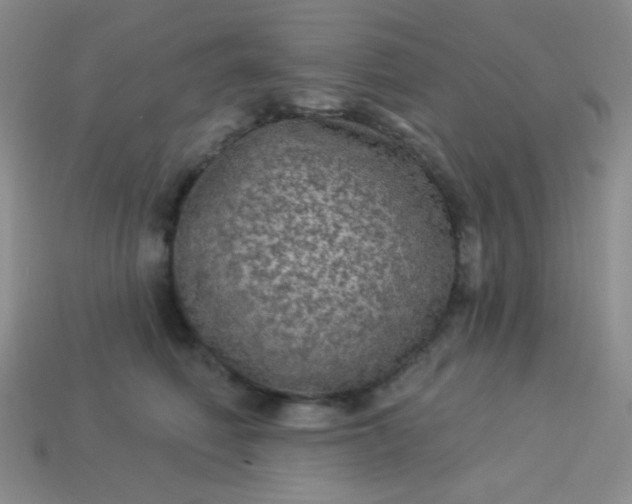 X0000113960614200910091630