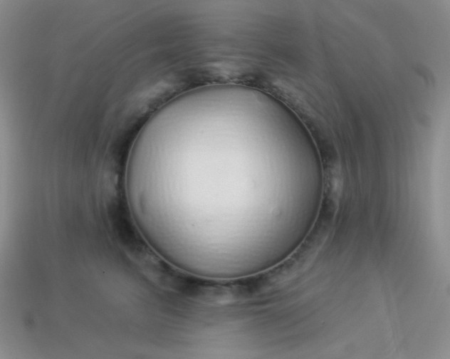 X0000113960615200910091630