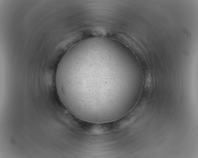 X0000113960616200910091630