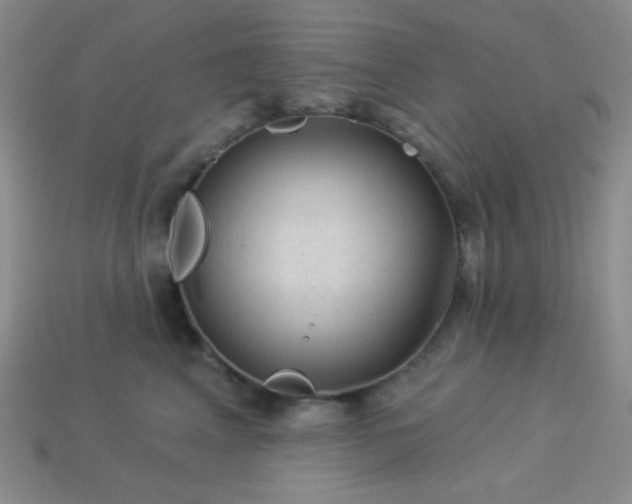 X0000113960617200910091630