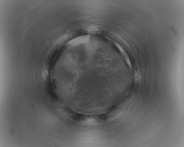 X0000113960618200910091630