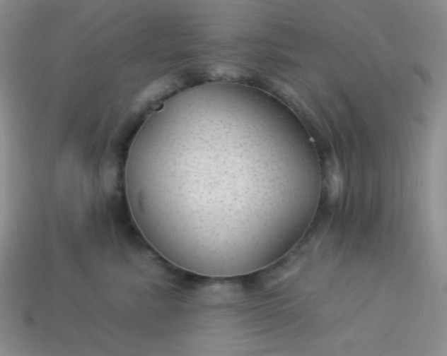 X0000113960619200910091630