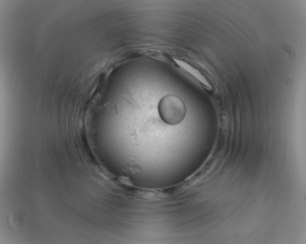 X0000113960621200910091630