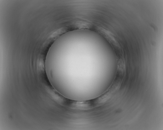 X0000113960622200910091630