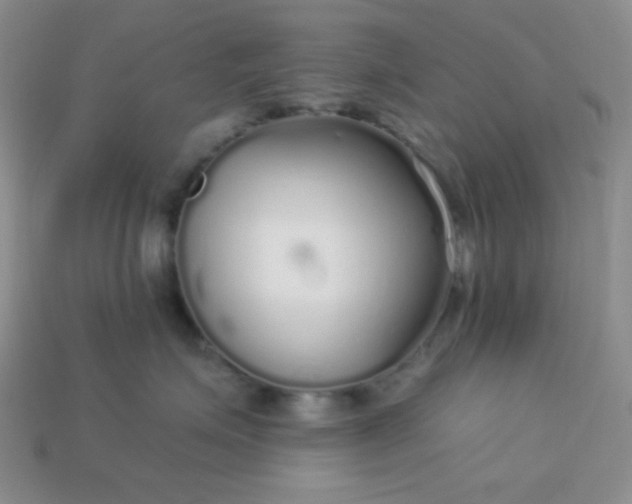 X0000113960623200910091630