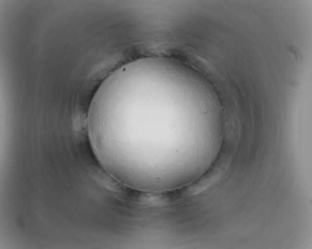 X0000113960624200910091630