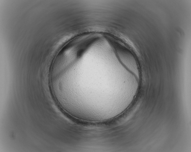 X0000113960625200910091630