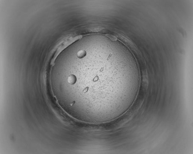 X0000113960626200910091630