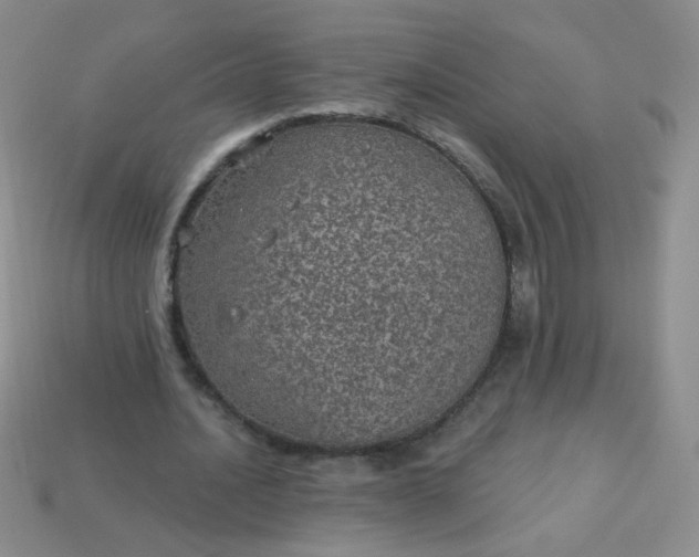 X0000113960628200910091630