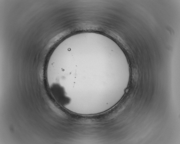 X0000113960629200910091630