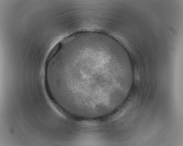 X0000113960630200910091630