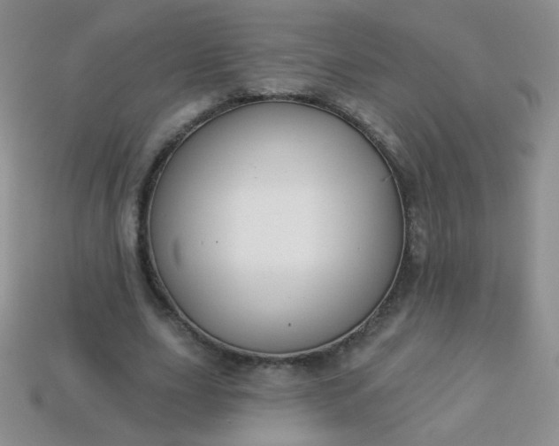 X0000113960631200910091630