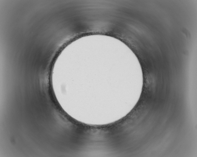 X0000113960632200910091630