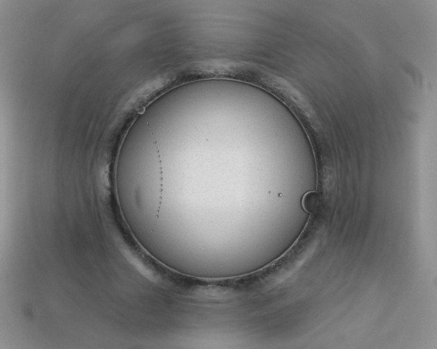 X0000113960633200910091630