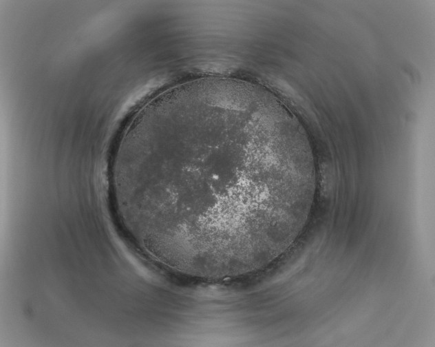 X0000113960634200910091630