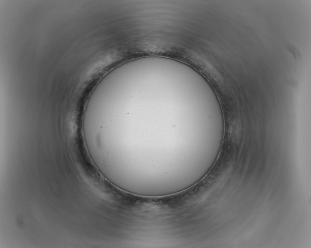 X0000113960635200910091630