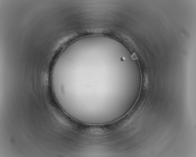 X0000113960636200910091630