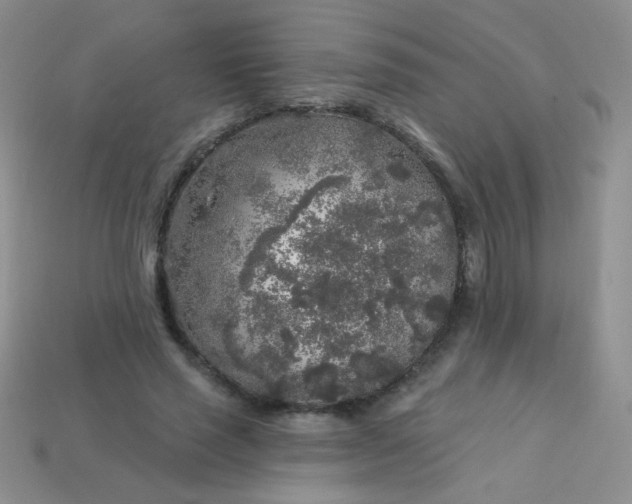 X0000113960637200910091630