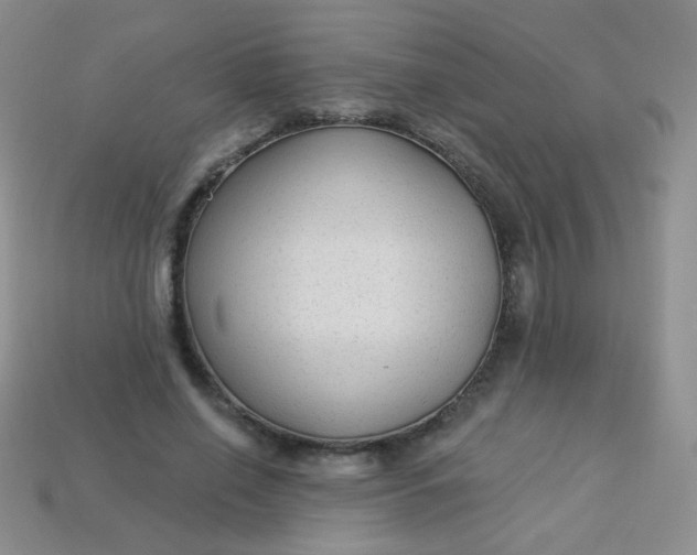 X0000113960638200910091630